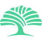 DSM Logo